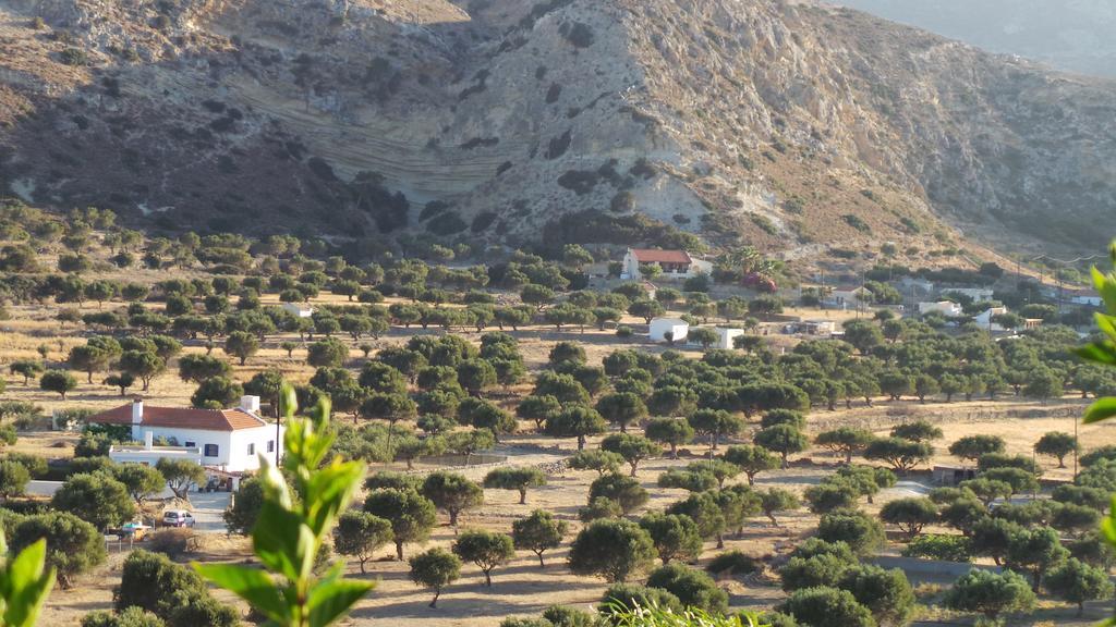 Hotel Seven Stars à Karpathos Extérieur photo